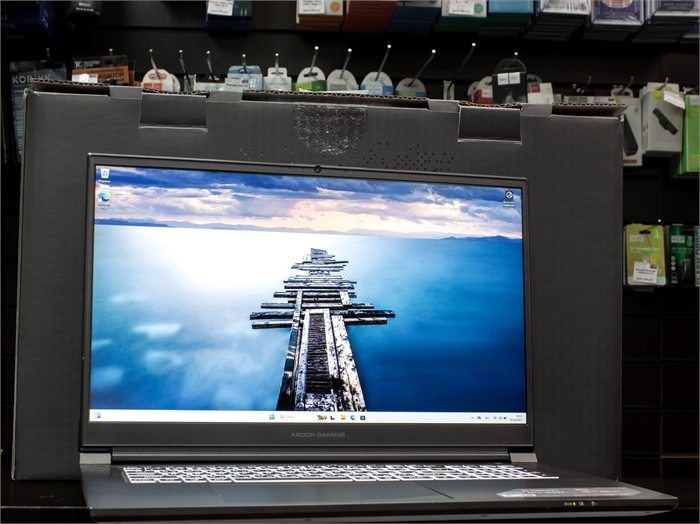 17.3" Ноутбук ARDOR GAMING N17-I5ND404 (Б/У) 25631 - фото 70162