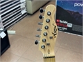Электрогитара Aiersi Telecaster TL-10 Black (Б\У) 125954310 - фото 75062